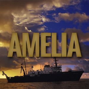 Amelia Mosaic