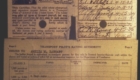 A.E. Pilot's License